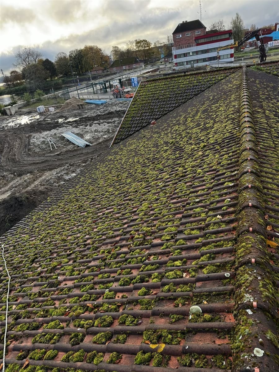 Hausdach mit Moosbefall vor der Reinigung