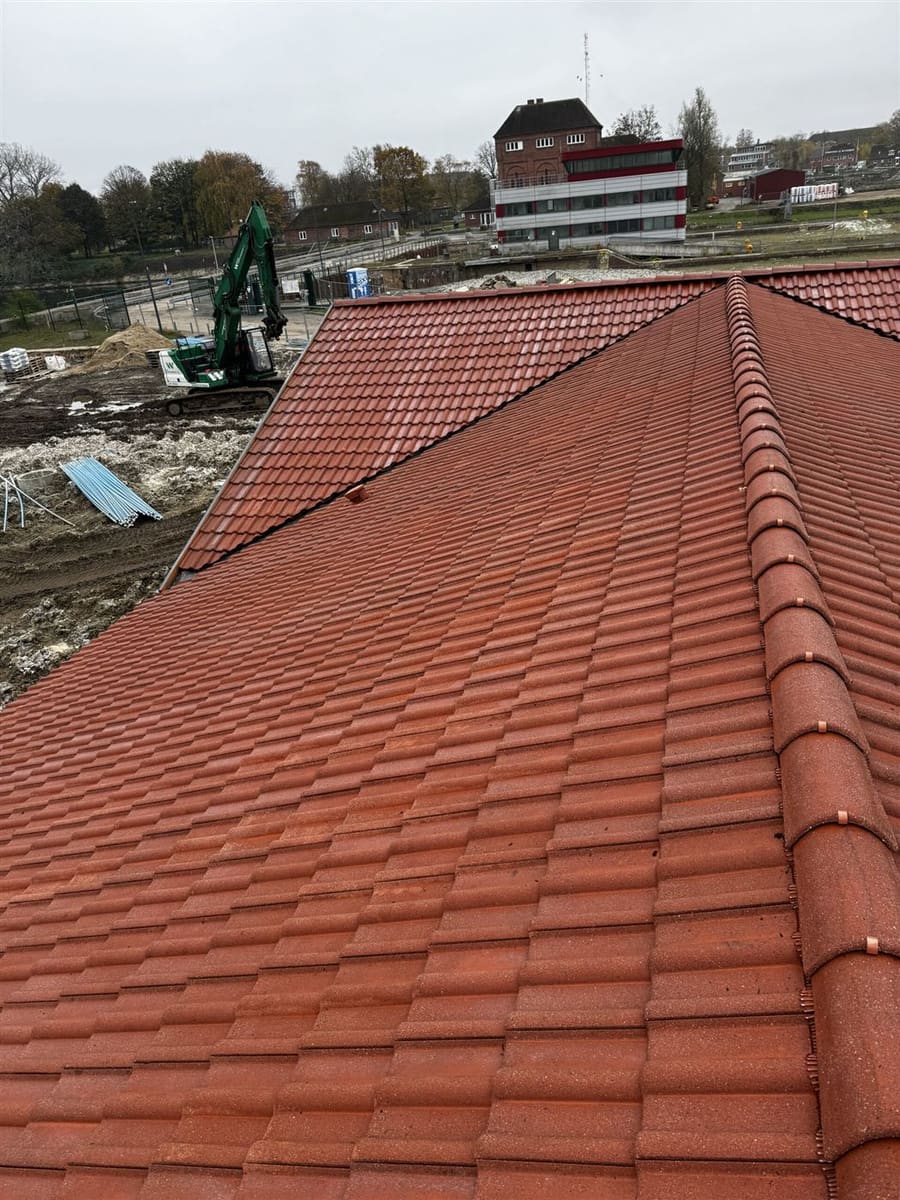 Hausdach mit Moosbefall nach der Reinigung