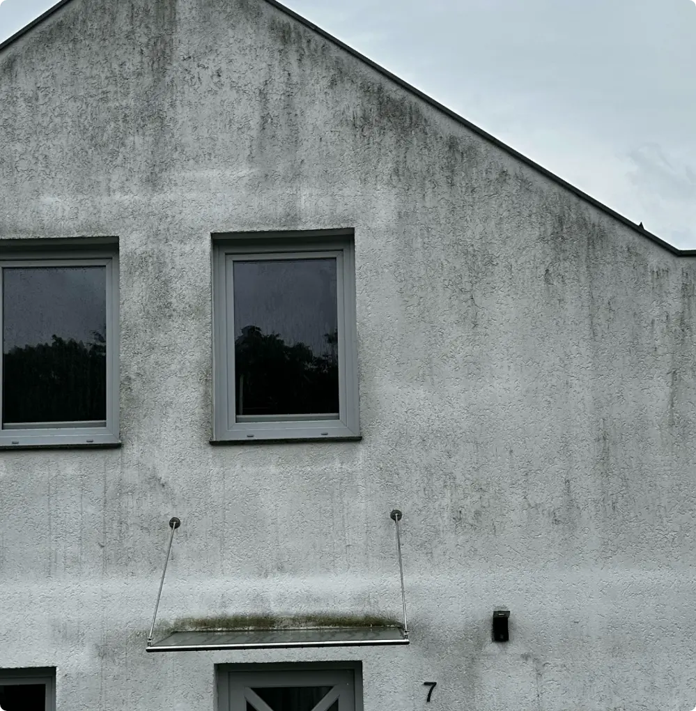 Fassade mit Grünbelag und Schwarzalge vor der Reinigung