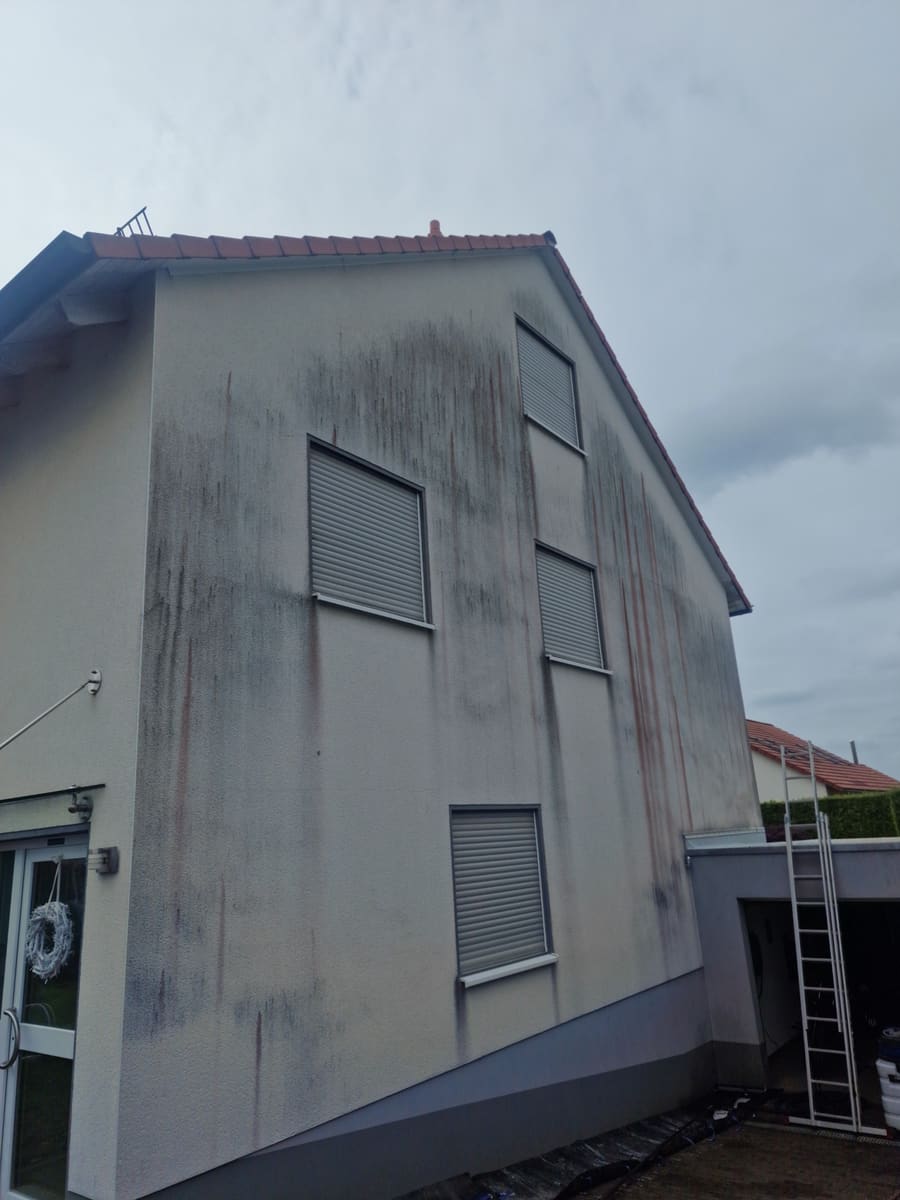 Giebelwand mit starkem Algen- und Schmutzbefall vor der Fassadenreinigung