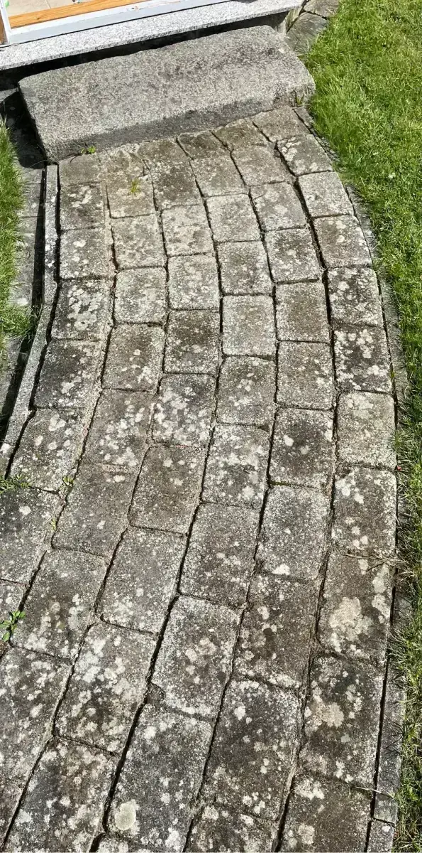 Pflasterfläche vor der Reinigung
